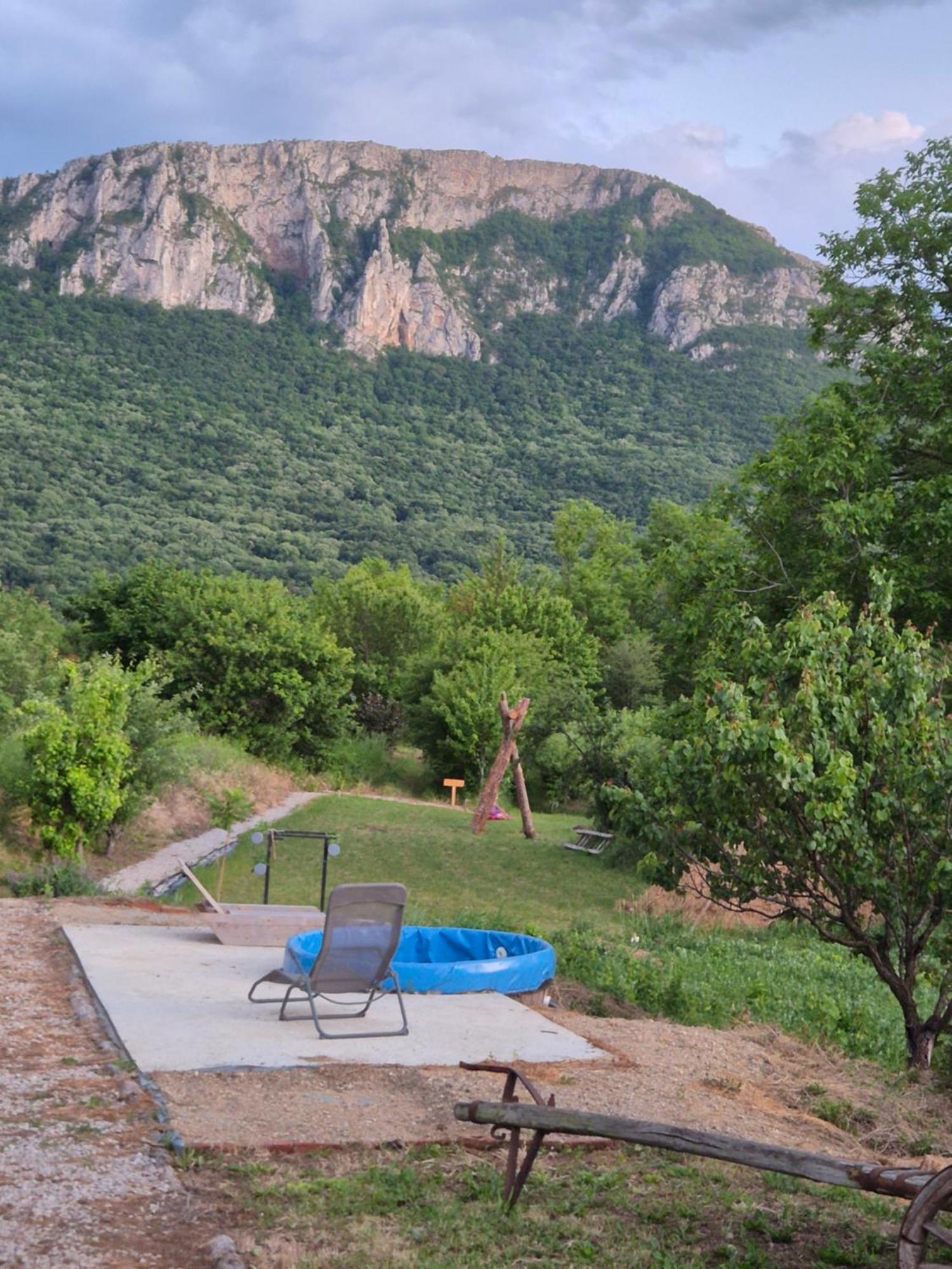 Konak -Guest House -Ramonda Serbika Ni Extérieur photo